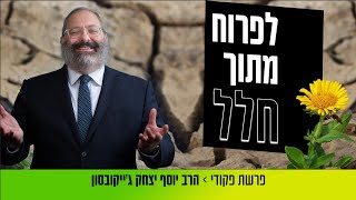 פרשת פקודי • איך להתמודד עם הריקנות, עם החלל שבלב?