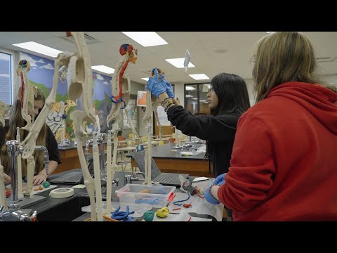 YouTube video