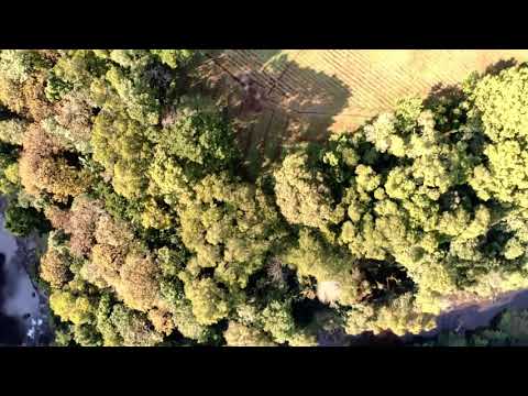 Spicers Retreat Queensland Australia