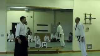 Aikido training is like taking on the job of Lifeguard