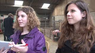 2012 Voorbereidingen Festival Onderuit 2