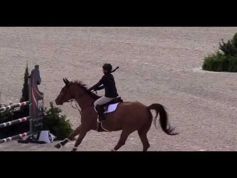 Tinka’s Soldier video 1