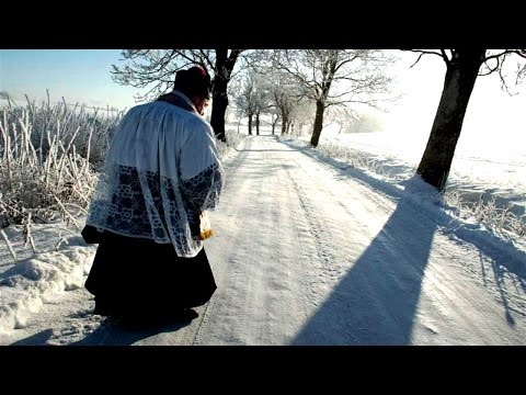 FORT BS - Franek, 2006