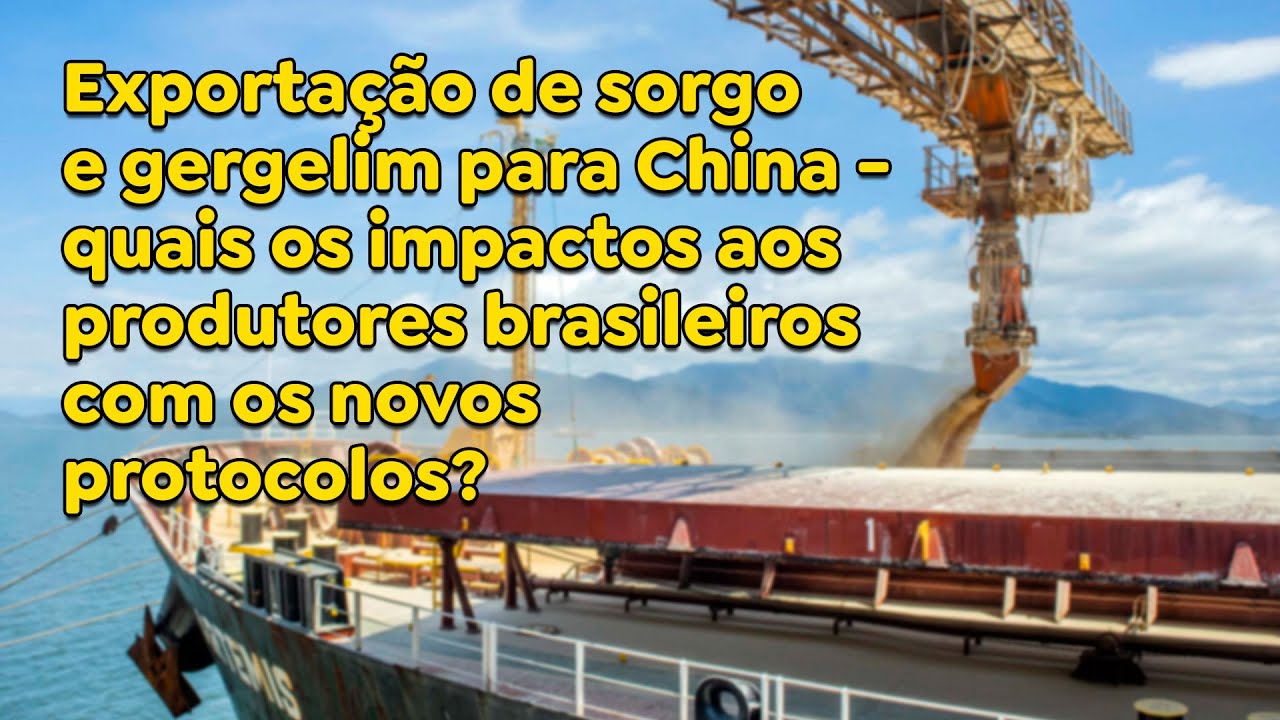 Exportação de sorgo e gergelim para China - quais os impactos aos produtores brasileiros?