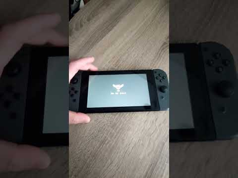 Как включить Nintendo switch с чипом Picofly без Sd карты