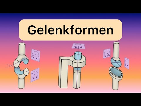 Überblick über Gelenkformen