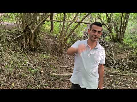 TREASURE SEARCH RODS.. FIELD SCAN MODEL 15