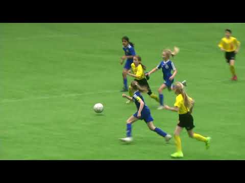 HooGee Mikropandat - VJS T09