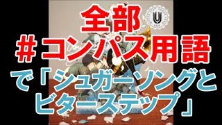【替え歌】シュガーソングとコンパスステップ