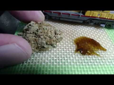 Strain Review - Skh - Skunk Haze - MMJ Total Health Care