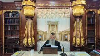 הרב מאיר דוד שמואלי - הלכות שבת שולחן ערוך סימן ר"ס