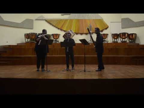 Trío No.1 para Flauta, Clarinete y Fagot Op.12 Eugéne Walckiers