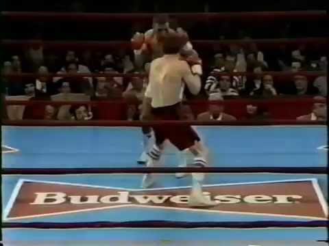 Jose Vidal vs Delio Palacios - Rounds 11-12