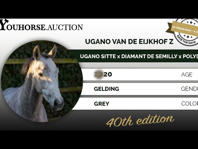 Ugano van de Eijkhof Z