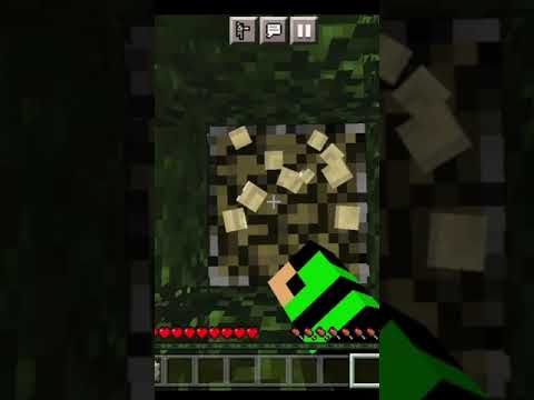 BongBoy DESTROYS Minecraft in RECORD TIME! 💥