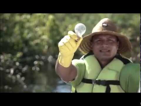 🌱 The Whole Environment - Air, Water and Soil Pollution