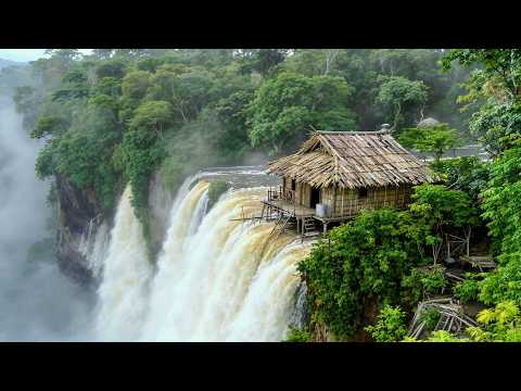 40 Days of Solo Survival Challenge: Building a Warm Shelter on a Waterfall Dangerous