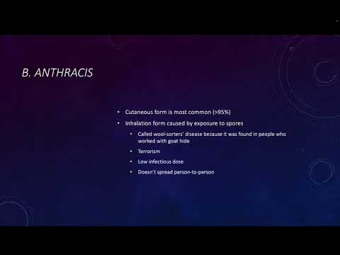 13 - Bacillus Part 01