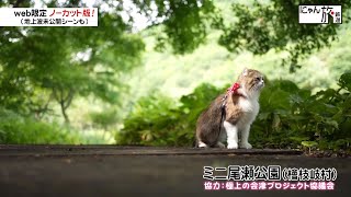 Vol.177「にゃん旅鉄道」ミニ尾瀬公園を散策するにゃ♪