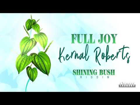 Kernal Roberts - Full Joy | Shining Bush Riddim | 2021 Soca