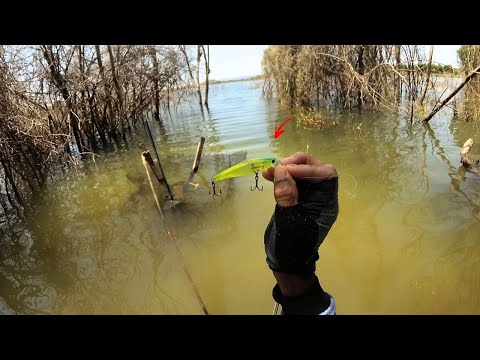 THE BEST PEAK FISHING... FROM BARRANCO I'VE EVER DONE IN MY LIFE!! check it out