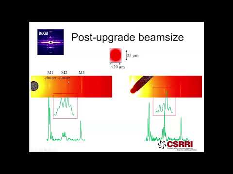 2025 BioCAT Town Hall - Fiber/Muscle Diffraction Upgrades
