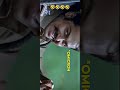 SHARE CHAT COMEDY TAMIL