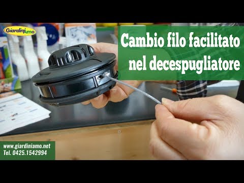 Miniatura Video
