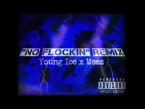 No Flockin' Remix - Young Ice x Meez (Audio)
