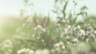 Chasing Dreams (OFFICIAL)