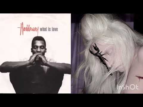 Haddaway x Lady Gaga - What Is Venus Mashup