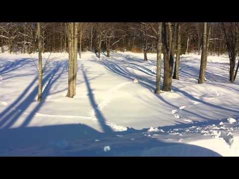 EEM1911 Neve Manna, still a 1 whistle man after 2 years