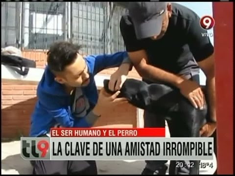 UNA AMISTAD ETERNA: La Historia De La Alianza Entre Humanos Y Perros. DOCUMENTAL.