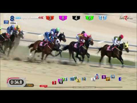 SBS Sports Sprint 2018 - Doraonpogyeongseon