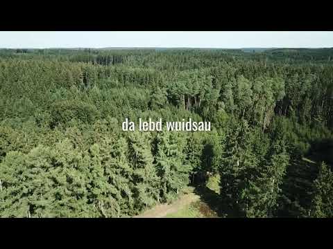 Peters Jagdrevier 10 2020