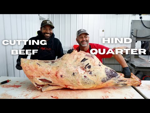 Cutting a BEEF - HIND QUARTER