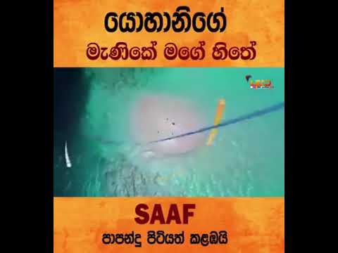 මැණිකේ මගේ හිතේ -  යොහානි