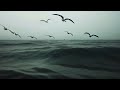 UB40 - Lost and Found