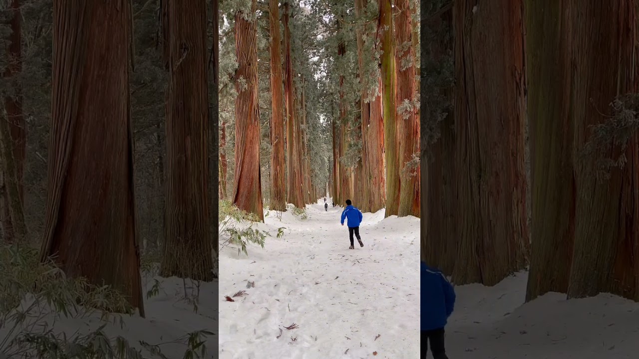 YouTube Short thumbnail