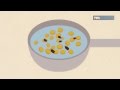 «Свежая еда» - Как защитить крупу от жучков 