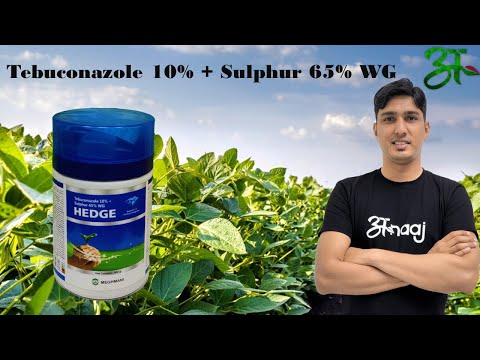Hedge Tebuconazole 10% + Sulphur 65%