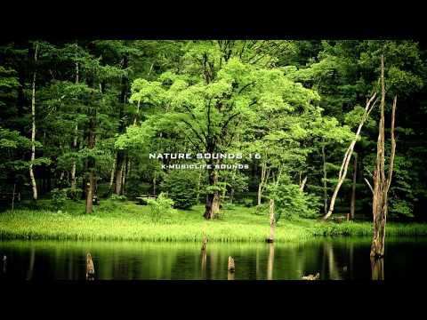 Nature Sound 16 - THE MOST RELAXING SOUNDS -