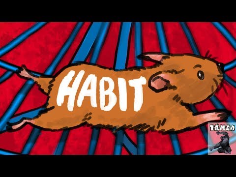 How Do Habits REALLY Work? (THE TRUTH)