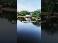 Brackish Water Is Peak