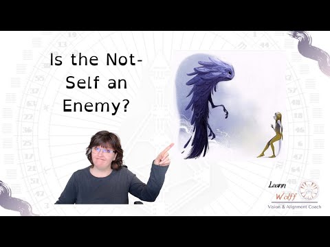 Human Design Not-Self Explained for Awareness vs. Amplification