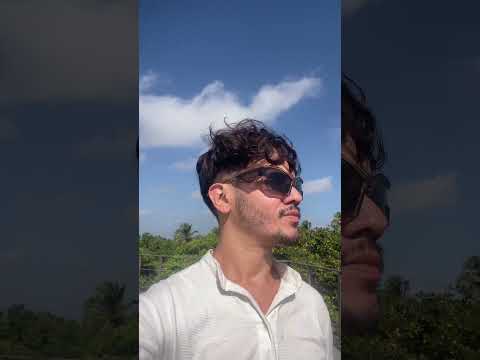 Cajueiro da Praia - Piauí - Cajueiro Rei #brasil #nordeste #piauí #turismo #shorts
