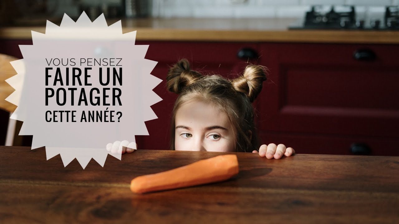 Des nouveauté chaque semaine!