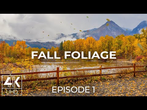 4K Autumn Nature Animated Screensaver | Leavenworth Waterfront Park & Fall Foliage Ambience - #1