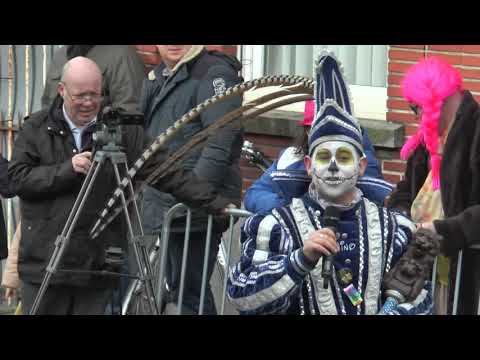 Carnavalstoet 2020 Denderleeuw