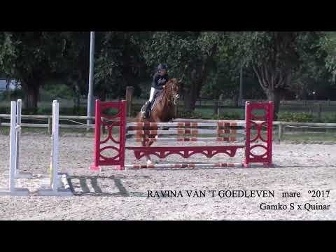 Ravina van 't Goedleven